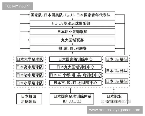 足球联赛在青训扶持中推动俱乐部与学校建立学分互认与升学对接机制 足球联赛在青训扶持中推动俱乐部与学校建立学分互认与升学对接机制